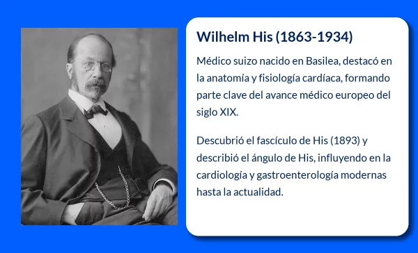 Wilhelm His