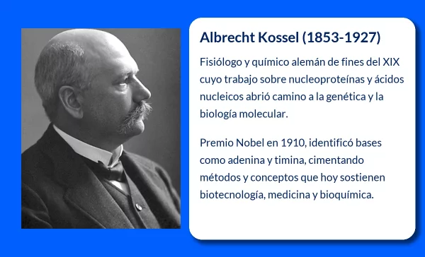 Albrecht Kossel (1853-1927). El pionero de la bioquímica molecular