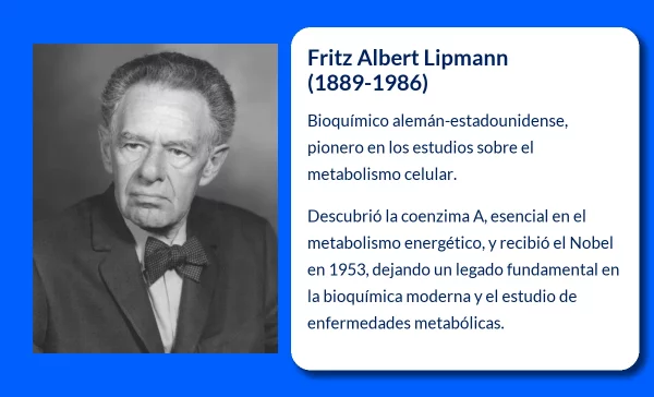 Fritz Albert Lipmann (1889-1986): El pionero de la bioquímica moderna y descubridor de la coenzima A