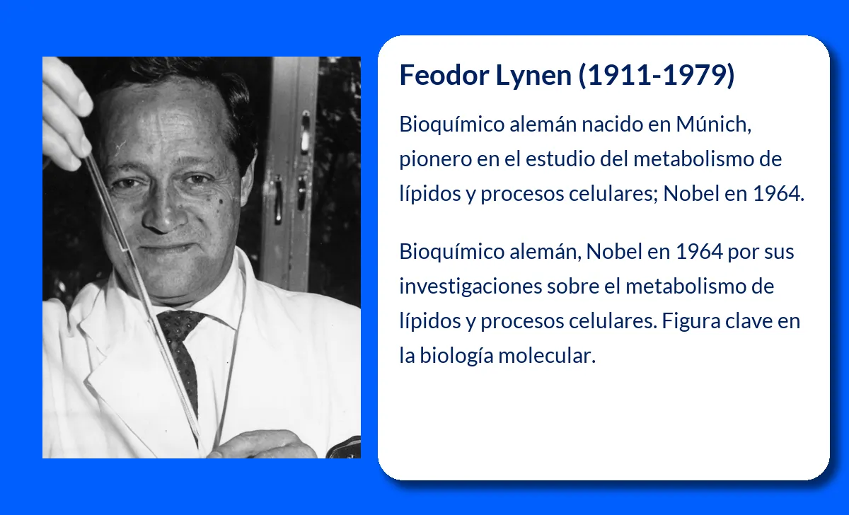 Feodor Lynen. El pionero en la bioquímica de los esteroides y el colesterol