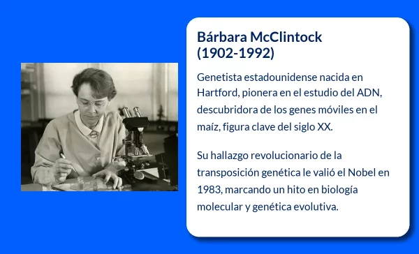 Bárbara McClintock