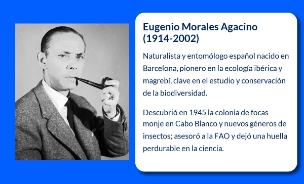 Eugenio Morales Agacino