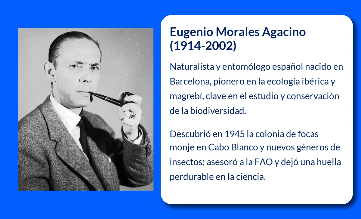 Eugenio Morales Agacino