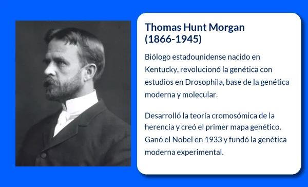 Thomas Hunt Morgan