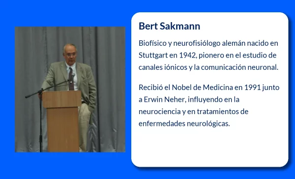 Bert Sakmann (1942-VVVV): El genio detrás de los descubrimientos sobre los potenciales iónicos en la célula