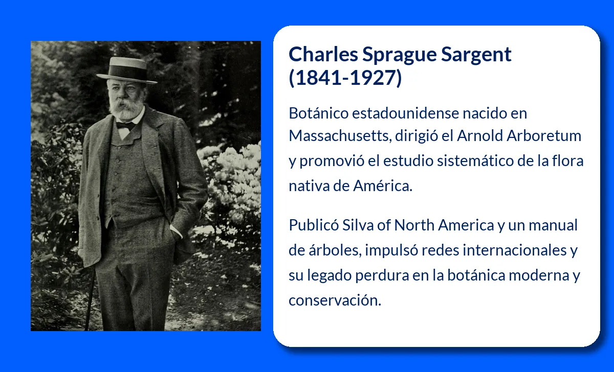Sprague Sargent