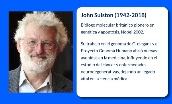 John Sulston (1942-2018). El pionero del genoma humano y la apoptosis celular