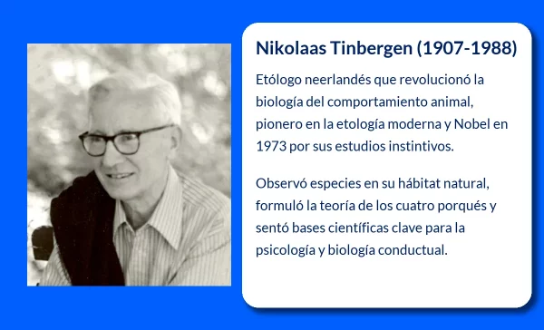 Nikolaas Tinbergen