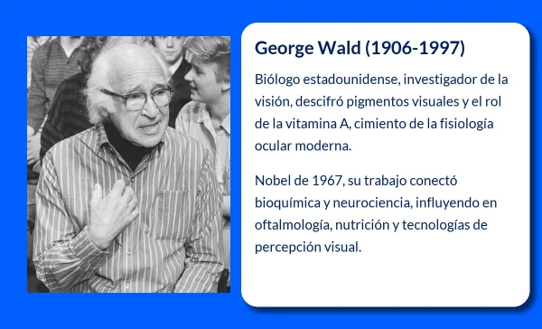 George Wald (1906-1997). El Nobel que reveló los secretos de la visión humana