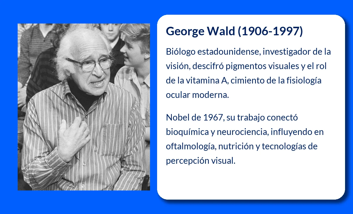 George Wald (1906-1997). El Nobel que reveló los secretos de la visión humana