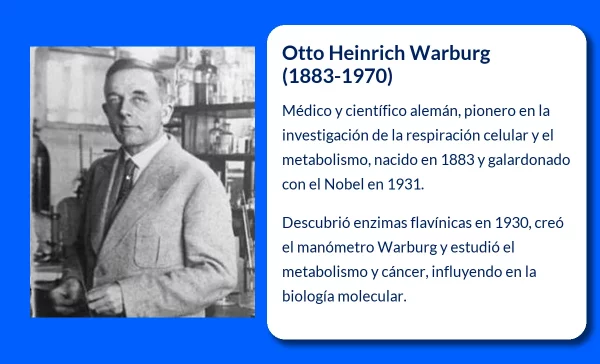 Otto Heinrich Warburg (1883-1970): El médico alemán que revolucionó la fisiología celular