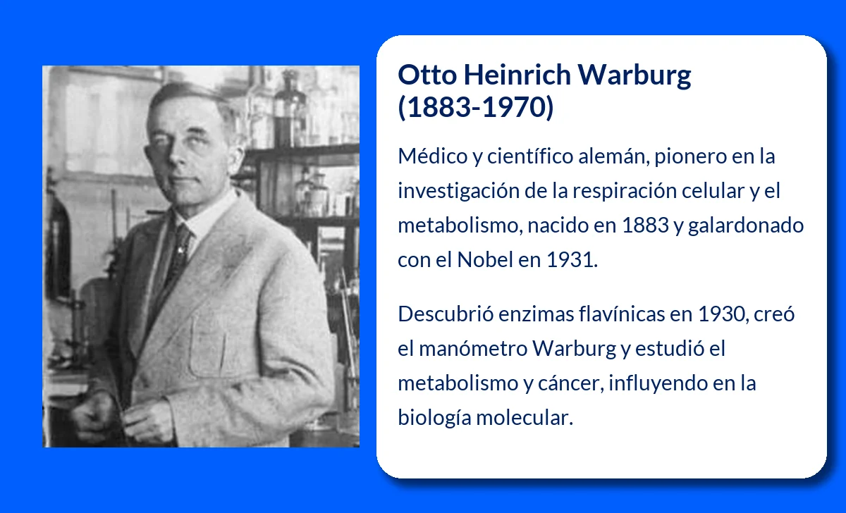 Otto Heinrich Warburg (1883-1970): El médico alemán que revolucionó la fisiología celular