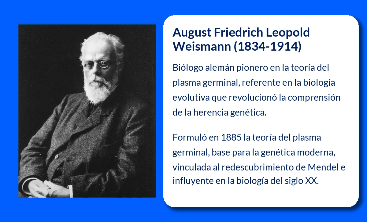 August Friedrich Leopold Weismann (1834-1914). El pionero de la teoría del plasma germinal