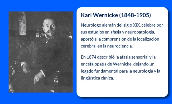 Wernicke