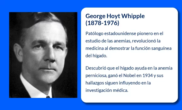 George Hoyt Whipple (1878-1976): El pionero de la investigación sobre las anemias y el hígado