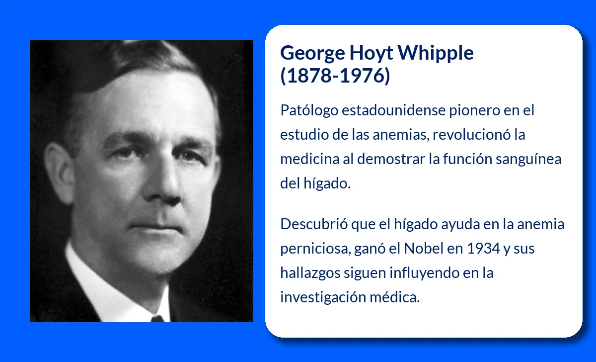 George Hoyt Whipple (1878-1976): El pionero de la investigación sobre las anemias y el hígado