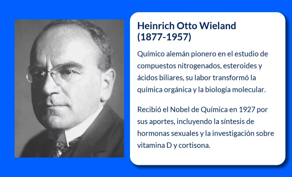 Heinrich Otto Wieland (1877-1957): El pionero de la química orgánica y la biología molecular