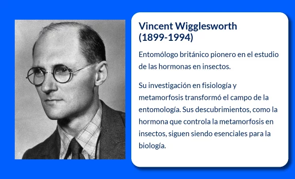 Vincent Wigglesworth (1899-1994): El pionero en el estudio de las hormonas en los insectos