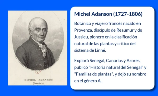 Michel Adanson