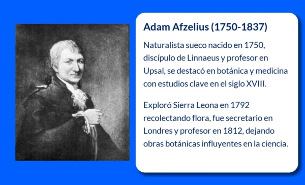 Adam Afzelius