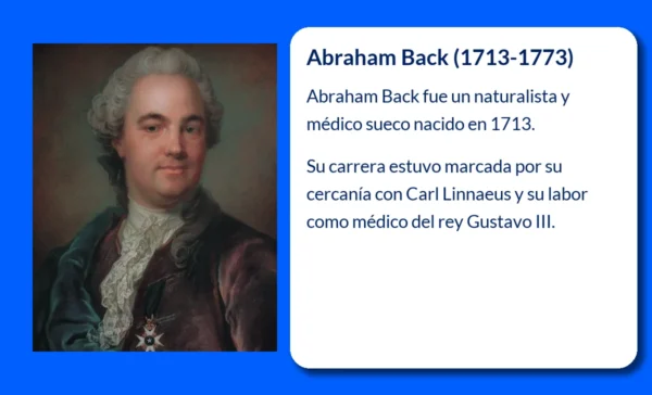 Abraham Back