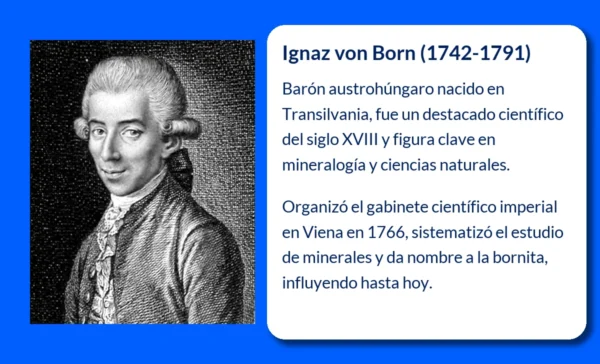 Ignaz von Born