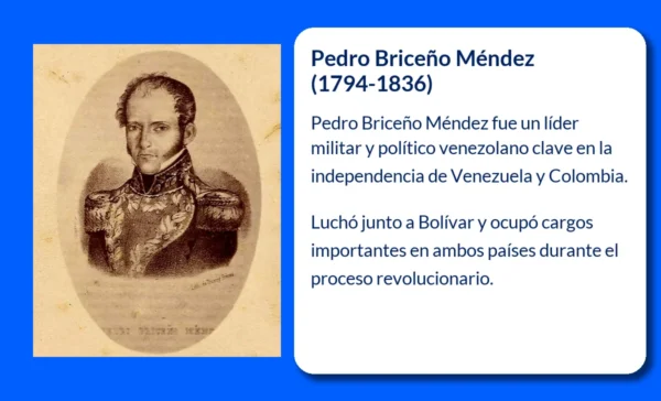 Pedro Briceño Méndez
