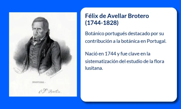 Félix de Avellar Brotero