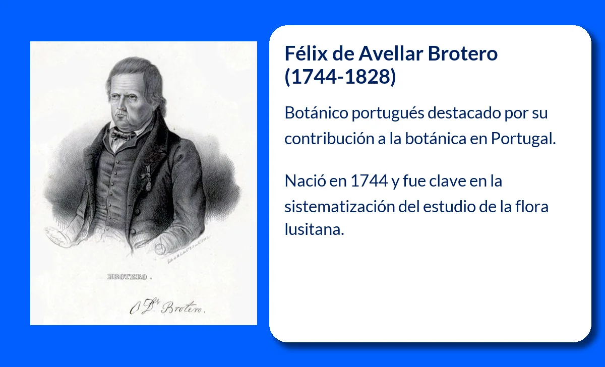 Félix de Avellar Brotero
