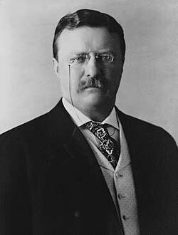 Retrato de Theodore Roosevelt, presidente de Estados Unidos entre 1901 y 1909
