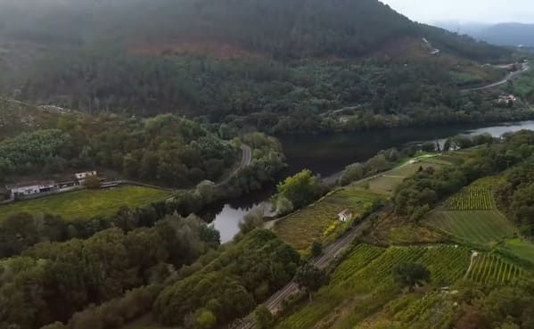 Vista aérea de valle verde con río serpenteante, bosques y campos de cultivo entre colinas.